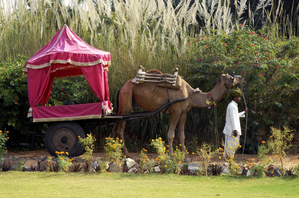 Pushkar Resort Buitenkant foto