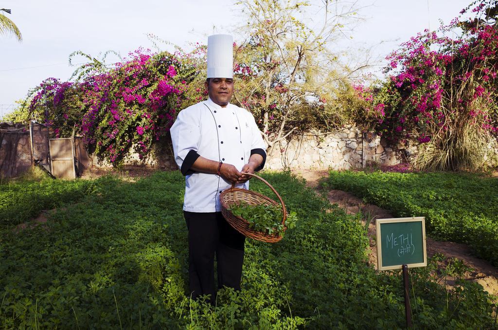 Pushkar Resort Buitenkant foto