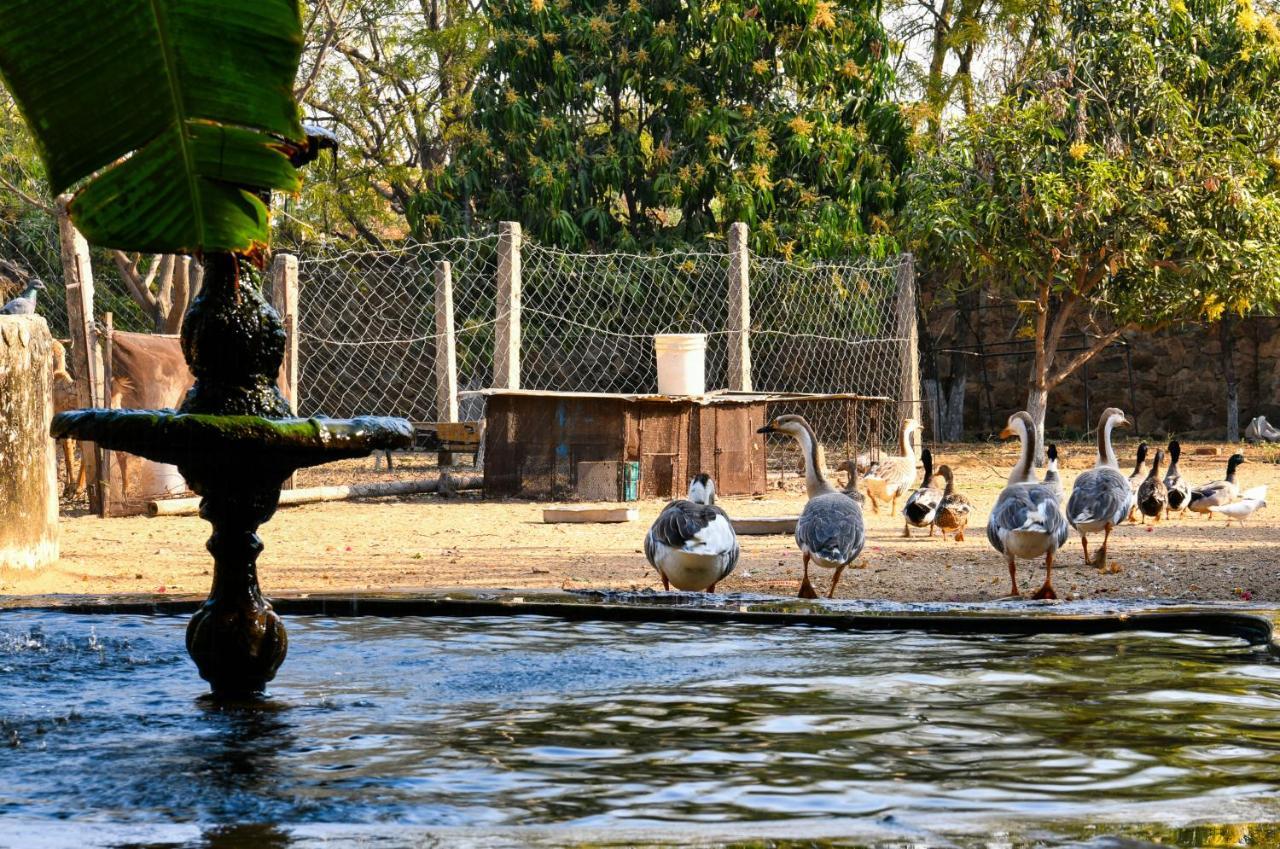 Pushkar Resort Buitenkant foto